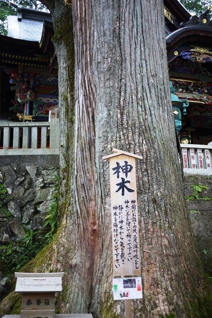 a0127090_1455399.jpg