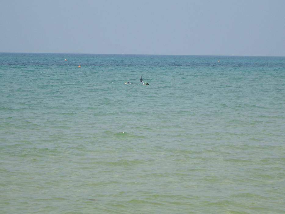f0131491_16504879.jpg