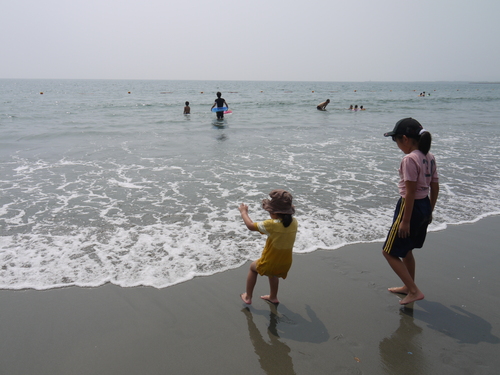 d0162695_16452521.jpg