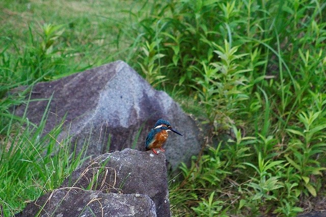 c0125596_2222384.jpg