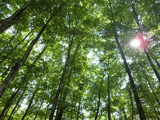 c0187298_2354538.jpg