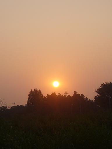 d0159198_145880.jpg