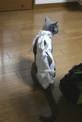 e0082098_17201612.jpg