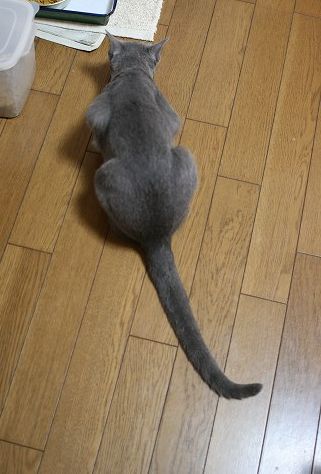 e0082098_172239100.jpg