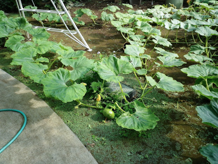 f0239100_7412335.jpg