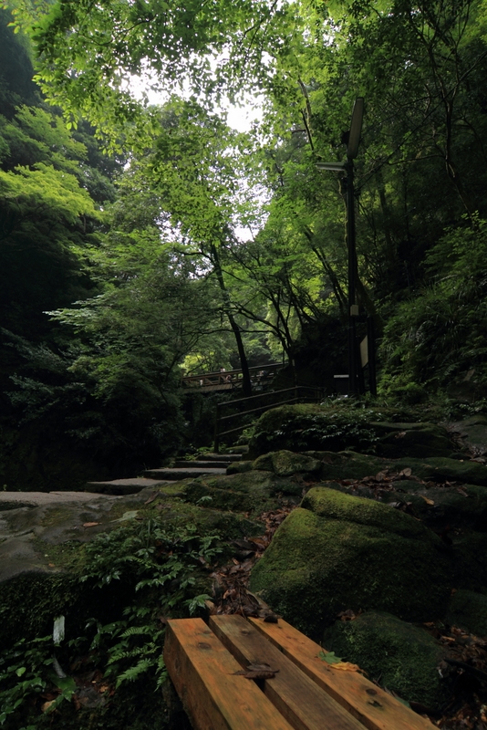 b0138101_2049419.jpg