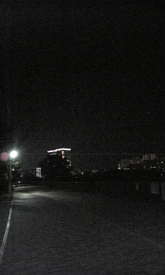 e0175702_2331816.jpg