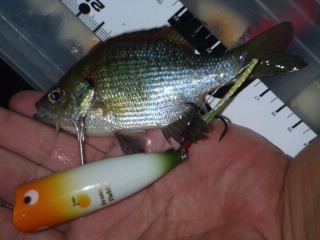 c0023804_2013094.jpg