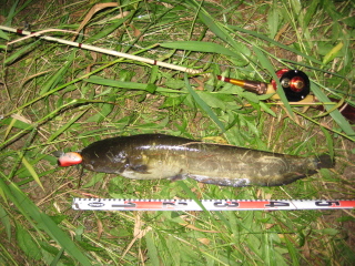 c0023804_2084566.jpg