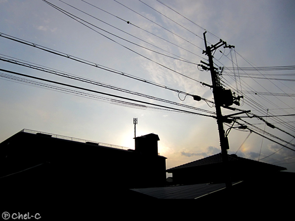 a0154706_20411579.jpg