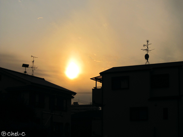 a0154706_20425019.jpg