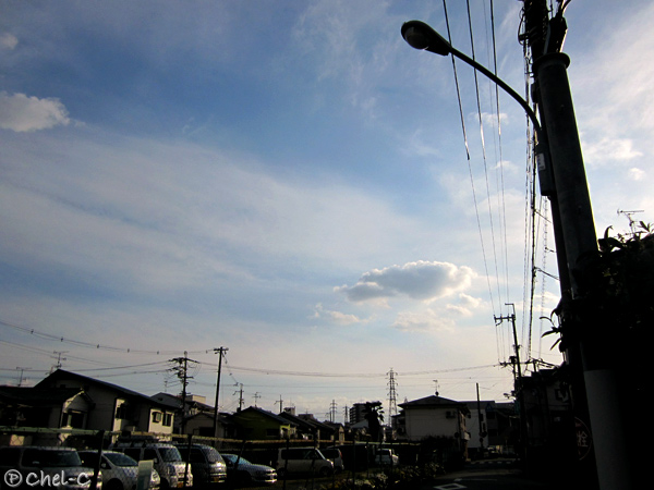 a0154706_20435713.jpg