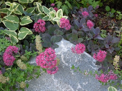 c0117007_2214456.jpg