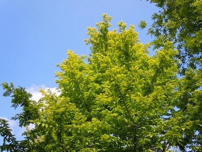 c0117007_22251961.jpg