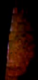 e0103408_1753268.gif
