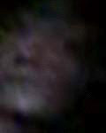 e0103408_176810.gif