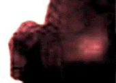 e0103408_1781470.gif