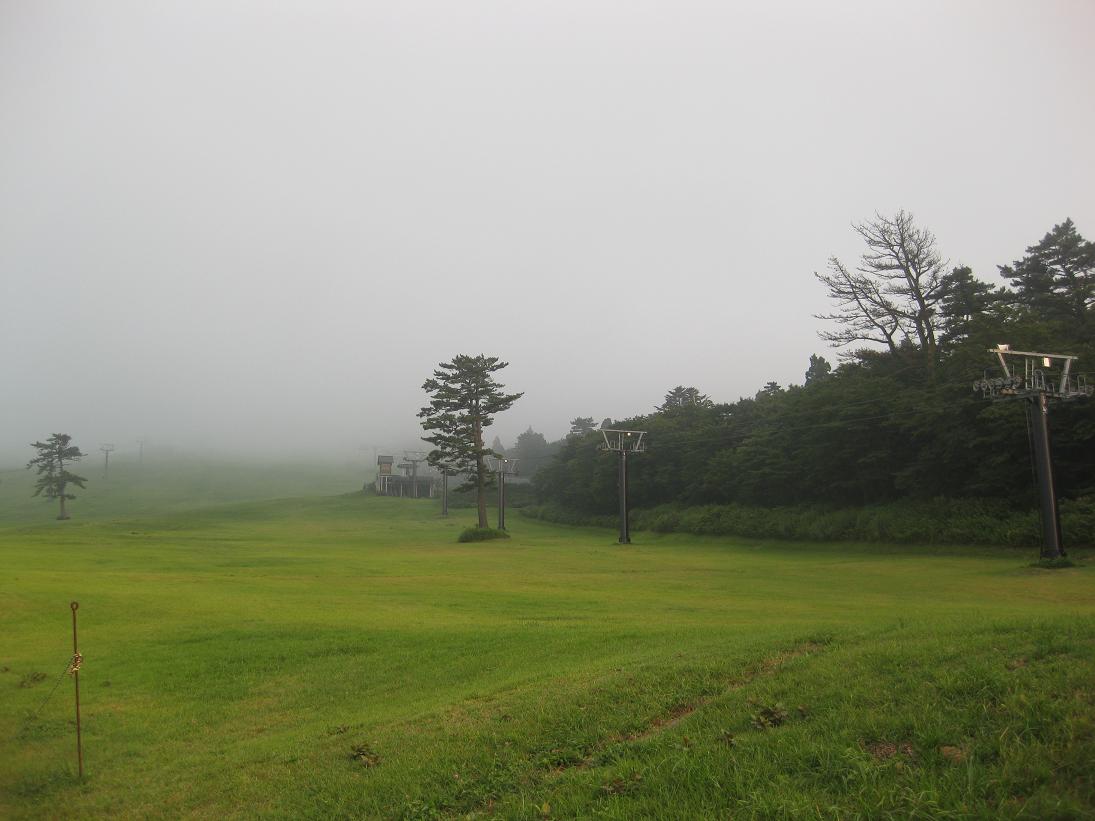 f0179209_1233795.jpg