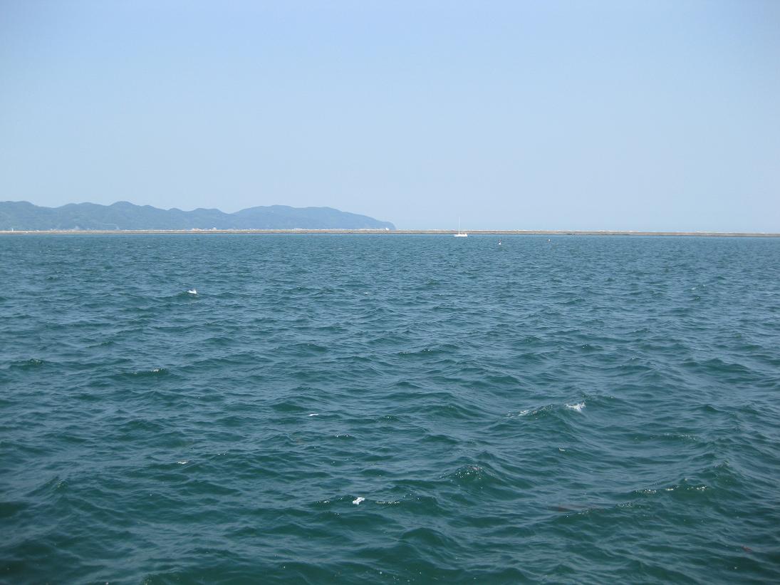 f0179209_1252418.jpg