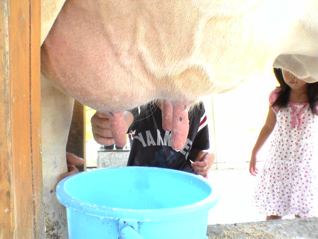 c0217013_13223285.jpg