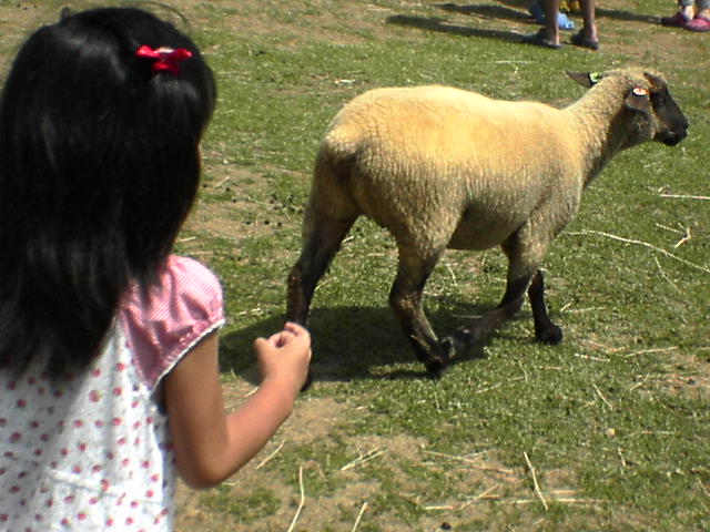 c0217013_1324210.jpg