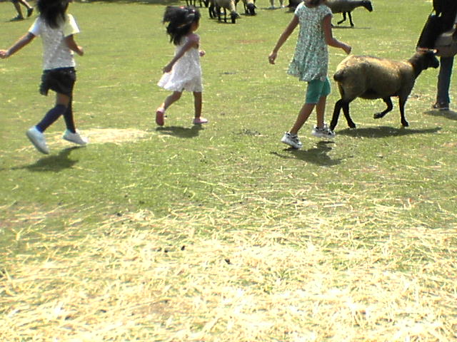 c0217013_13243592.jpg
