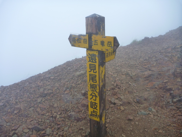 f0225414_08210.jpg