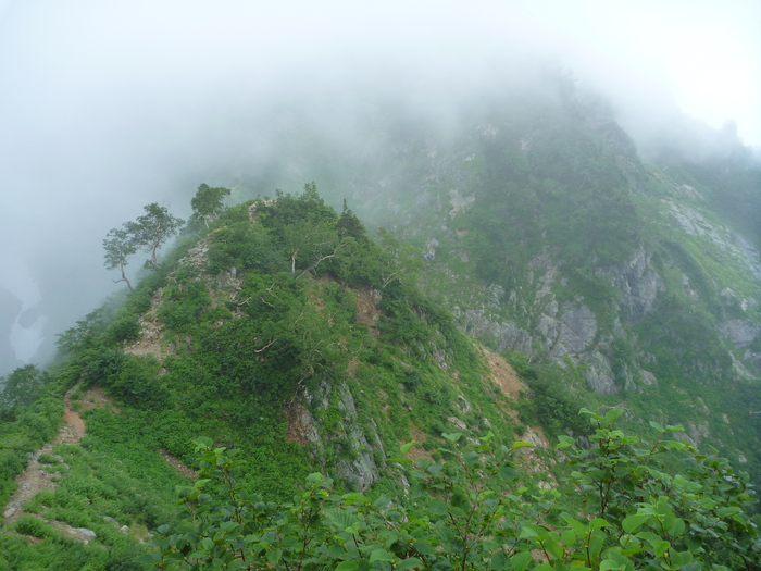 f0225414_23501219.jpg