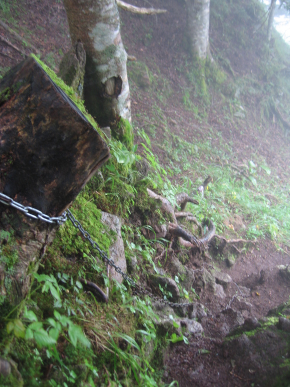 b0093515_7292040.jpg