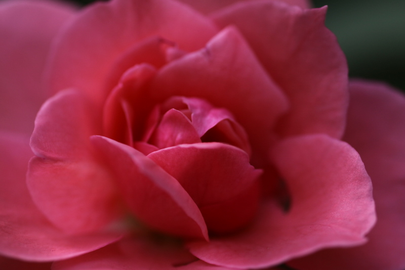 b0165522_158373.jpg