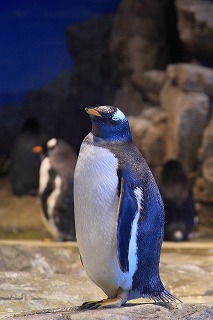 b0056924_12451970.jpg
