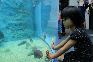 b0056924_12502365.jpg