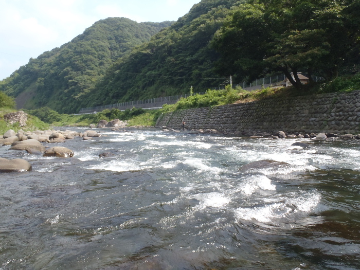 f0103126_22334864.jpg