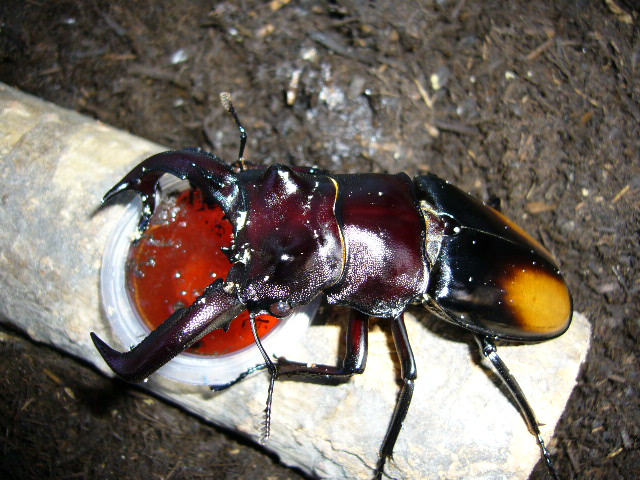 f0065228_18495195.jpg