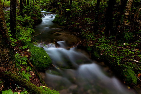 e0025030_1722186.jpg
