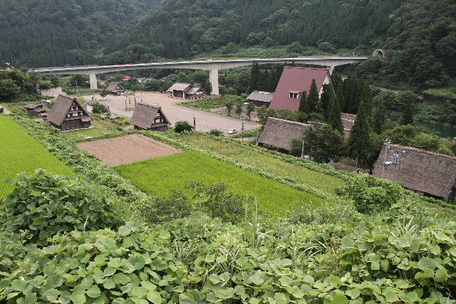 e0064133_0492472.jpg