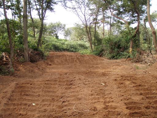 e0129633_674229.jpg