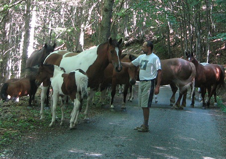 f0234936_07888.jpg