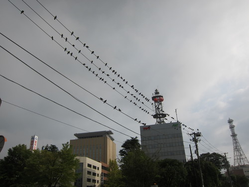 d0156438_8535617.jpg