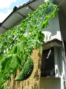e0160242_204273.jpg
