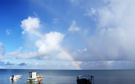 f0014842_1775076.jpg