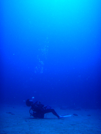 f0014842_181098.jpg