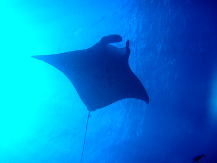 f0014842_2162411.jpg