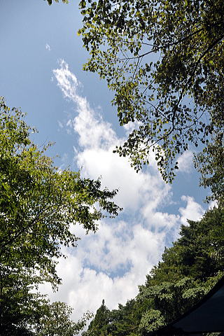 f0094843_20575755.jpg