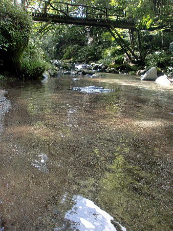f0094843_21332561.jpg