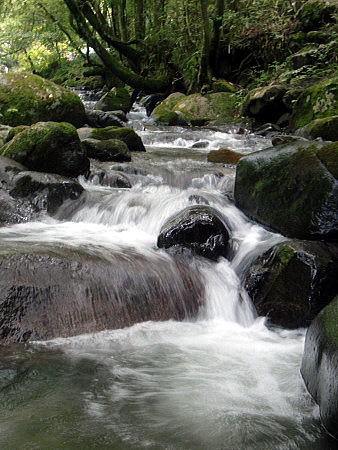 f0094843_21424897.jpg