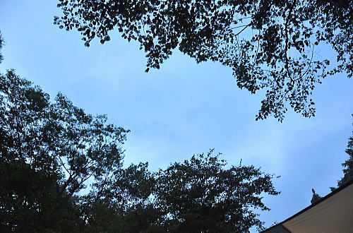 f0094843_21502477.jpg