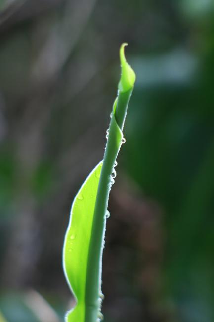 e0129046_15334726.jpg
