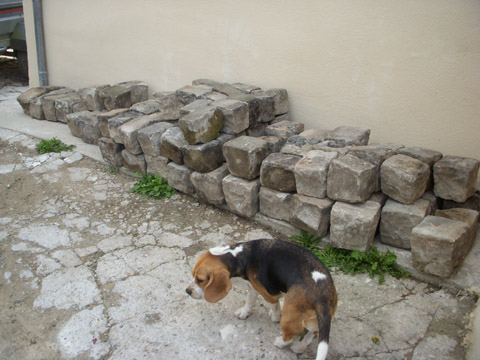 b0069848_702248.jpg