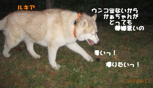 e0121548_21343783.jpg